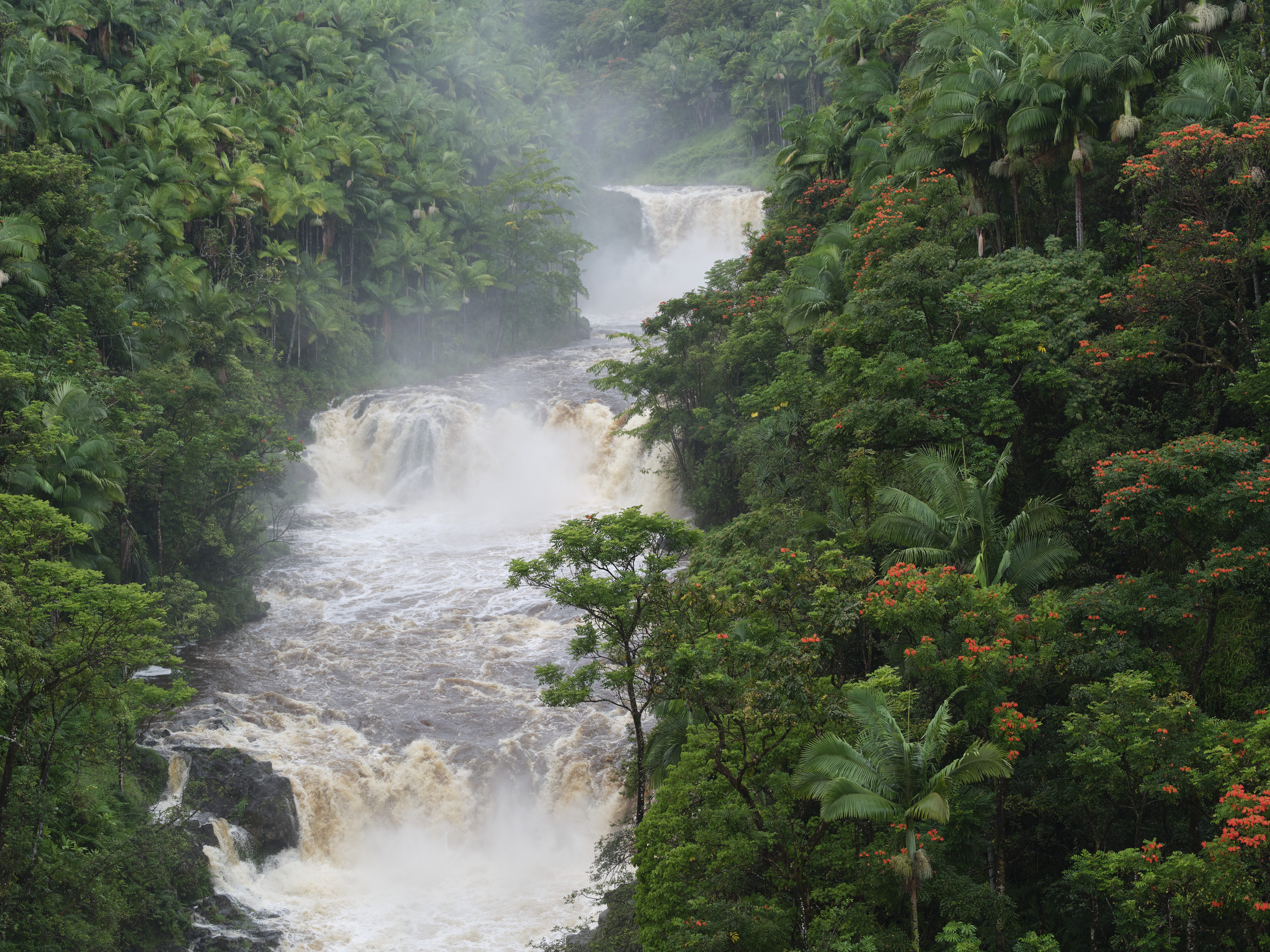 Umauma Falls, Hawaii