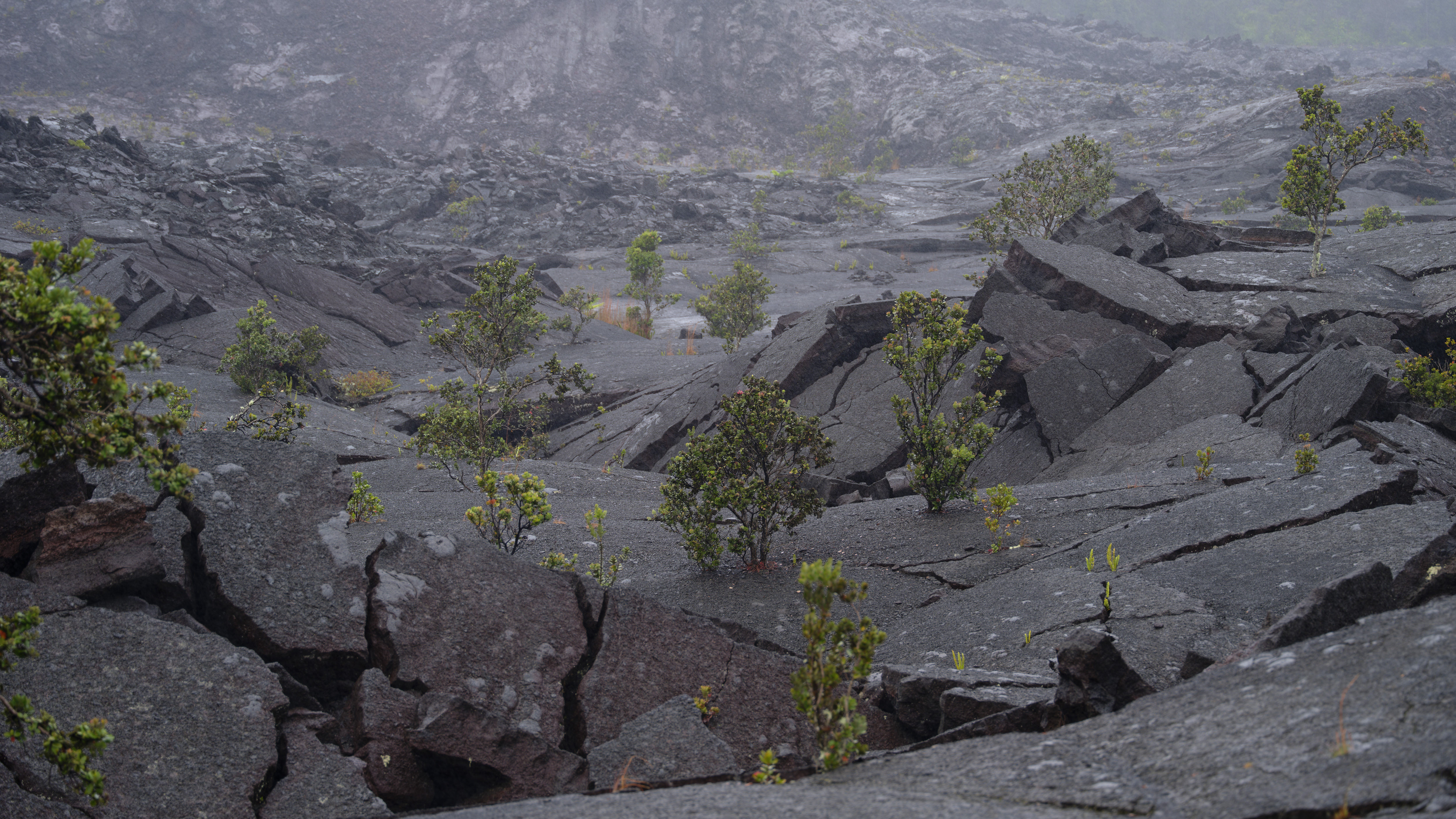Kilauea Crater, Hawaii Volcanoes National Park